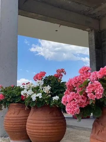 Diana Studios Вурвуру